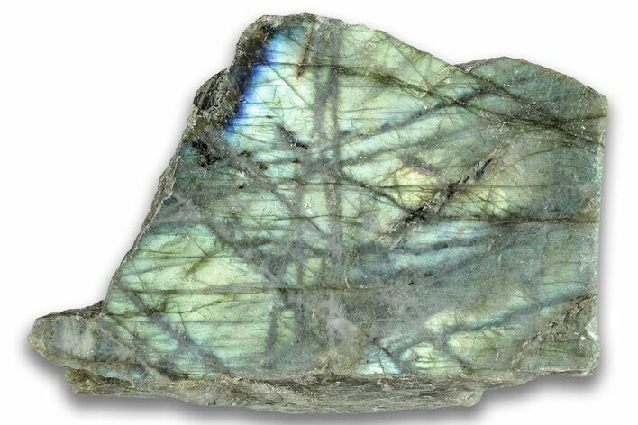 Single Side Polished Labradorite Section - Madagascar #324658